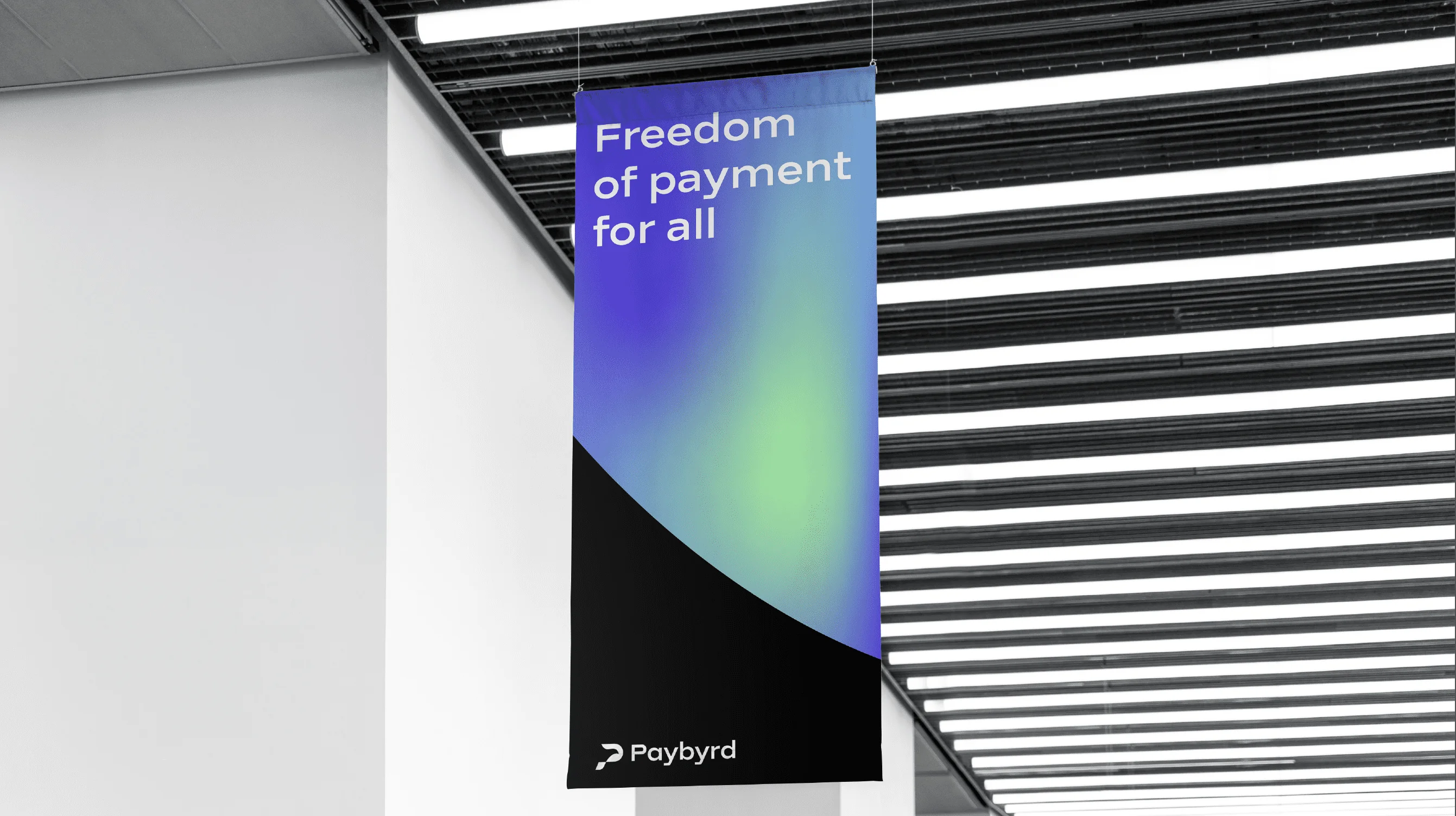 Paybyrd vertical banner