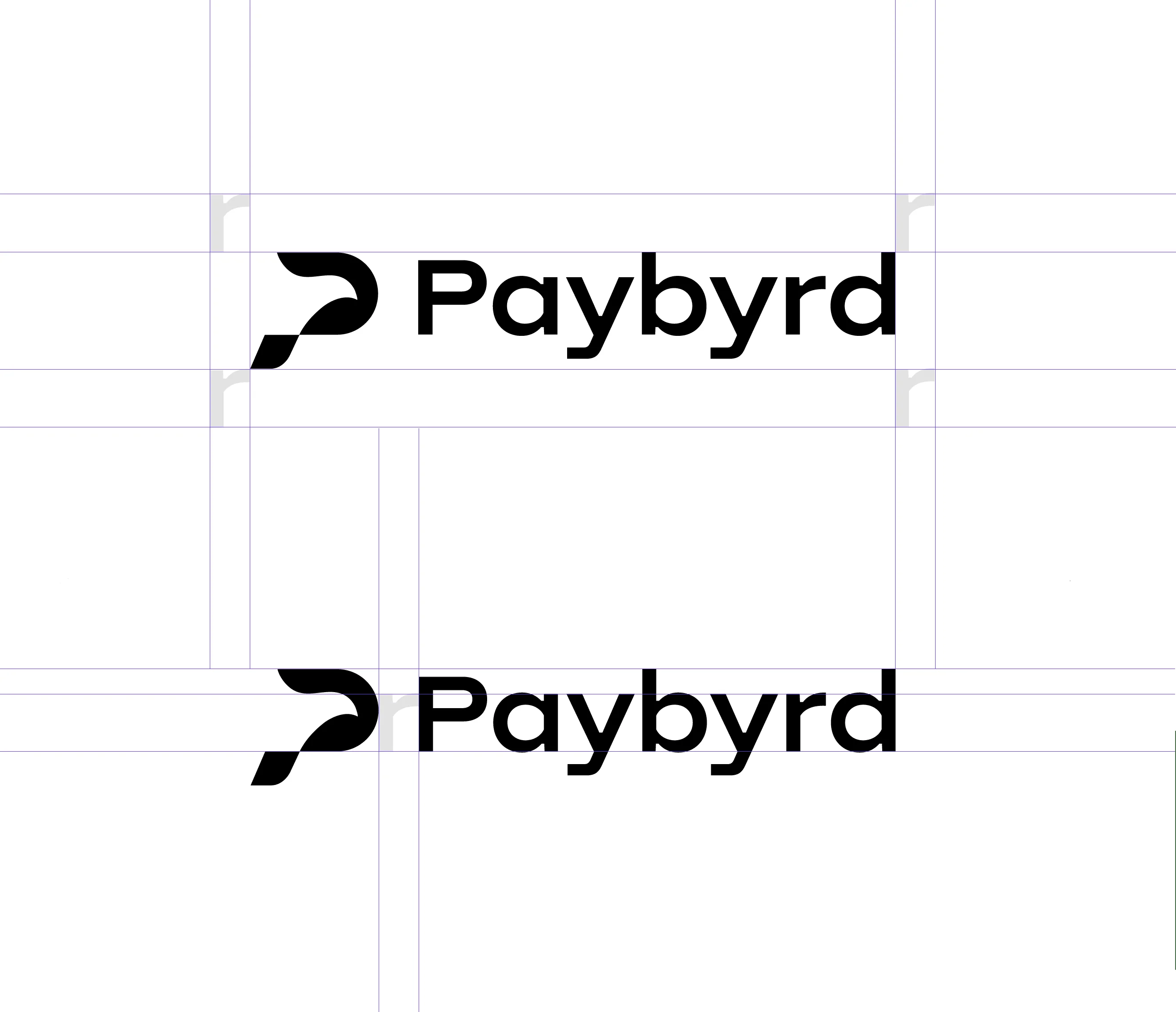 Paybyrd brand on black