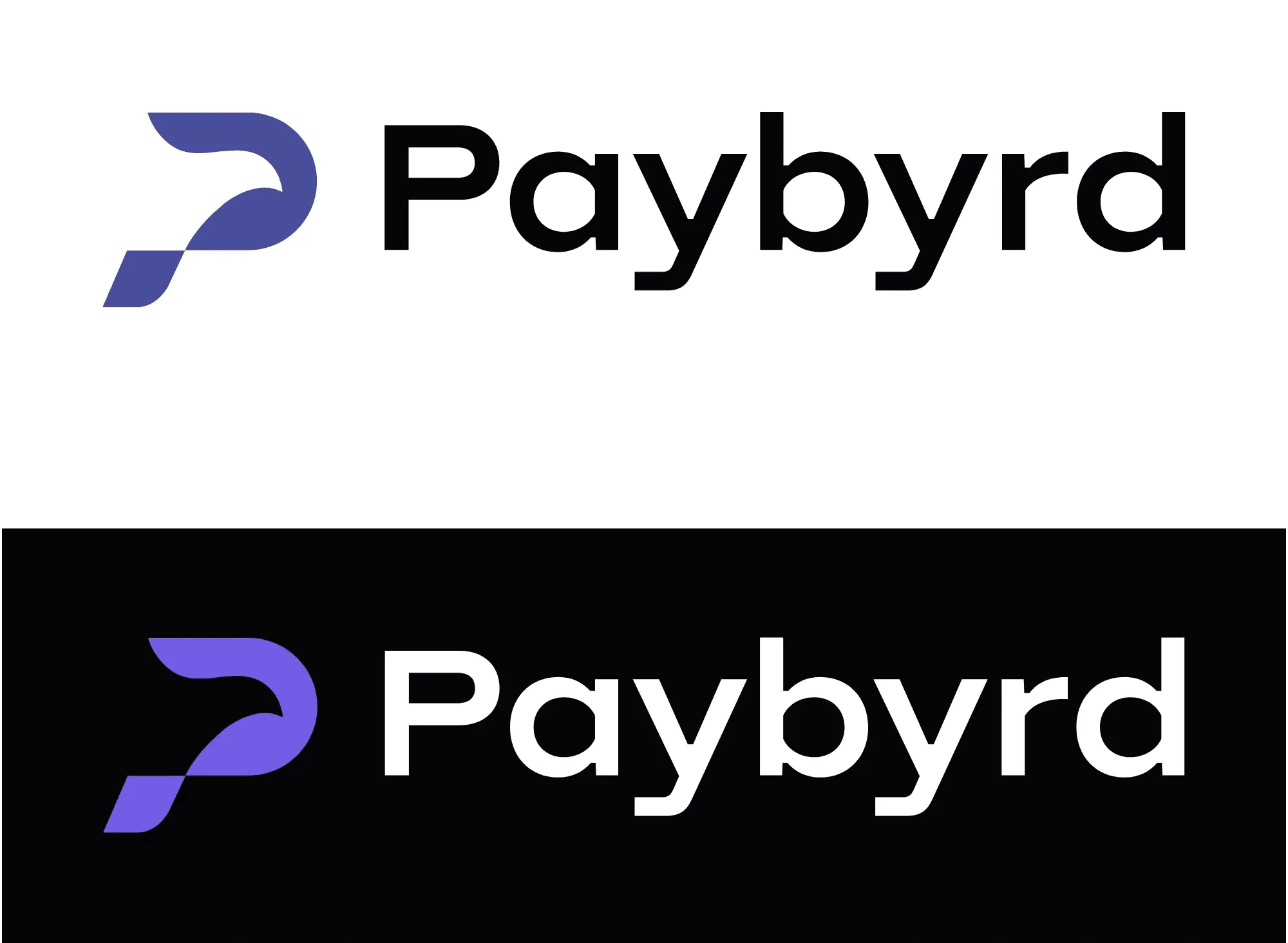 Paybyrd logo on dark and light backgrounds
