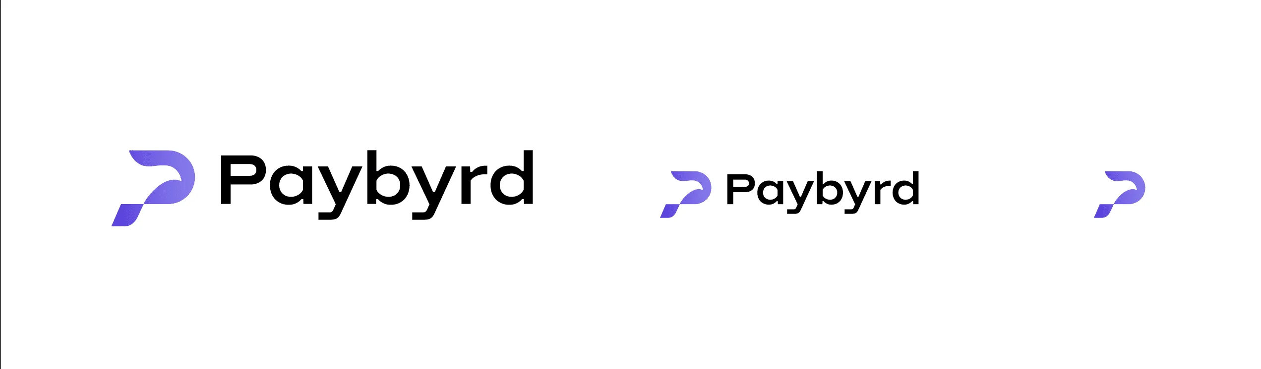 Paybyrd logo size guidelines